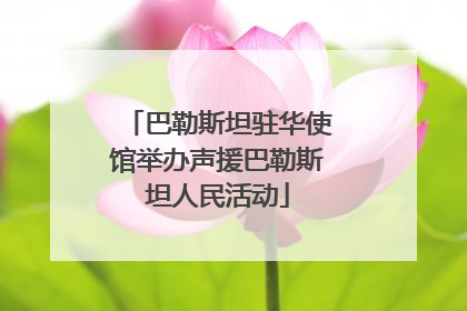 巴勒斯坦驻华使馆举办声援巴勒斯坦人民活动
