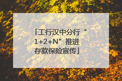 工行汉中分行“1+2+N”推进存款保险宣传