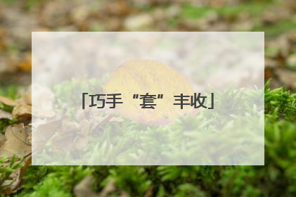 巧手“套”丰收