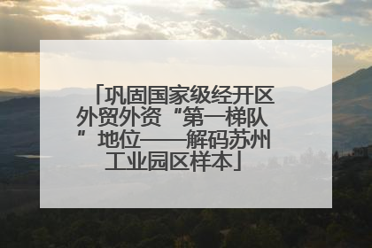巩固国家级经开区外贸外资“第一梯队”地位——解码苏州工业园区样本