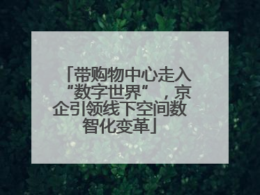 带购物中心走入“数字世界”，京企引领线下空间数智化变革
