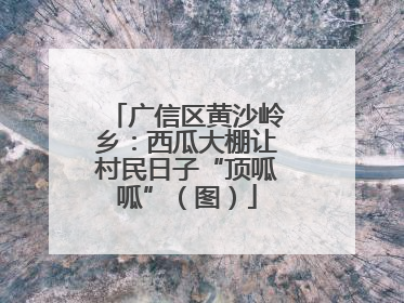 广信区黄沙岭乡：西瓜大棚让村民日子“顶呱呱”（图）