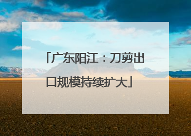 广东阳江：刀剪出口规模持续扩大