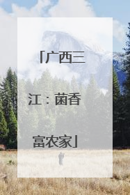 广西三江：菌香富农家