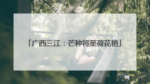 广西三江：芒种将至荷花艳