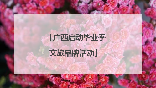 广西启动毕业季文旅品牌活动
