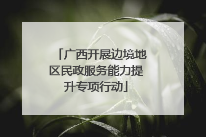 广西开展边境地区民政服务能力提升专项行动