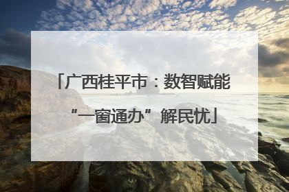 广西桂平市：数智赋能“一窗通办”解民忧