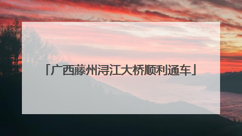 广西藤州浔江大桥顺利通车