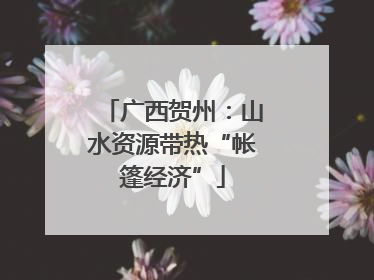 广西贺州：山水资源带热“帐篷经济”