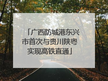 广西防城港东兴市首次与贵川陕粤实现高铁直通