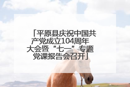 平原县庆祝中国共产党成立104周年大会暨“七一”专题党课报告会召开