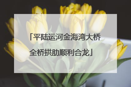 平陆运河金海湾大桥全桥拱肋顺利合龙