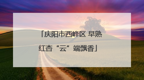 庆阳市西峰区 早熟红杏“云”端飘香