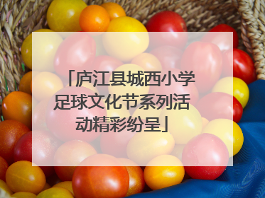 庐江县城西小学足球文化节系列活动精彩纷呈