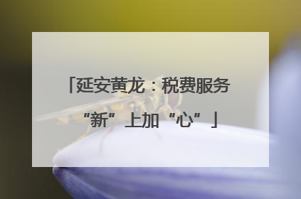 延安黄龙：税费服务“新”上加“心”