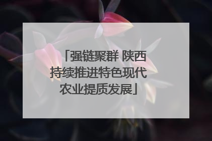 强链聚群 陕西持续推进特色现代农业提质发展