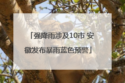 强降雨涉及10市 安徽发布暴雨蓝色预警