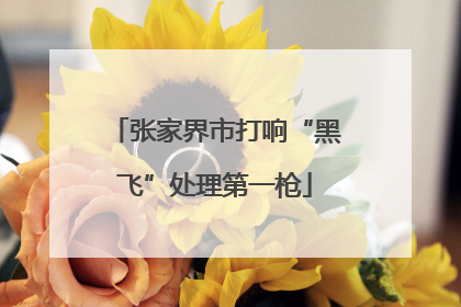 张家界市打响“黑飞”处理第一枪