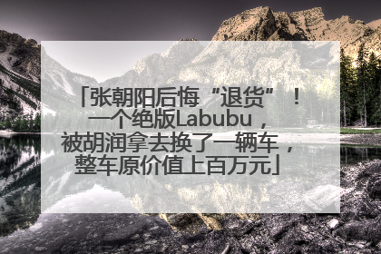 张朝阳后悔“退货”！一个绝版Labubu，被胡润拿去换了一辆车，整车原价值上百万元