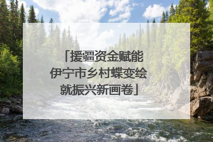 援疆资金赋能 伊宁市乡村蝶变绘就振兴新画卷