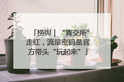 捞舆｜“青交所”走红，流量密码是官方带头“玩起来”