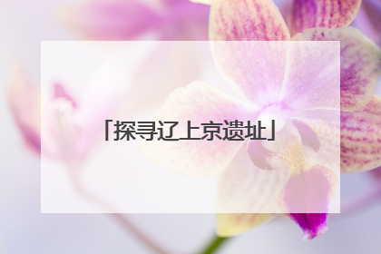 探寻辽上京遗址