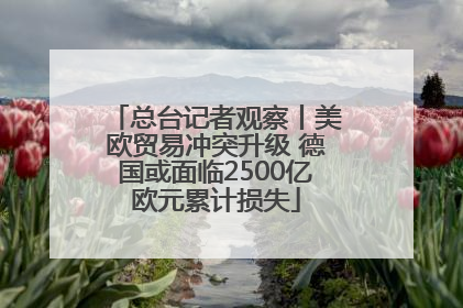 总台记者观察丨美欧贸易冲突升级 德国或面临2500亿欧元累计损失