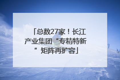 总数27家！长江产业集团“专精特新”矩阵再扩容
