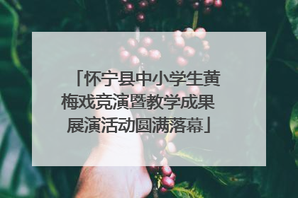 怀宁县中小学生黄梅戏竞演暨教学成果展演活动圆满落幕
