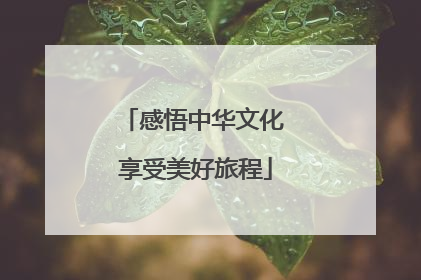 感悟中华文化 享受美好旅程