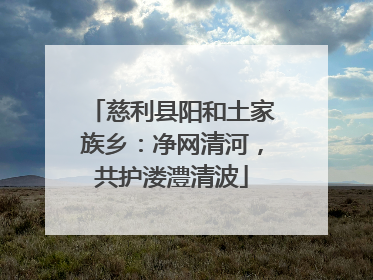慈利县阳和土家族乡：净网清河，共护溇澧清波
