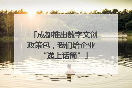 成都推出数字文创政策包，我们给企业“递上话筒”
