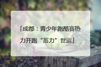 成都：青少年跑酷赛热力开跑“蓄力”世运