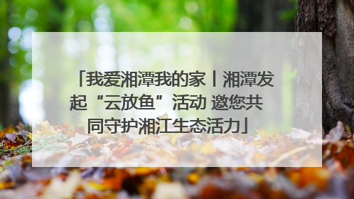 我爱湘潭我的家丨湘潭发起“云放鱼”活动 邀您共同守护湘江生态活力