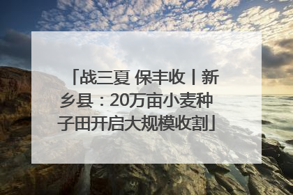 战三夏 保丰收丨新乡县：20万亩小麦种子田开启大规模收割