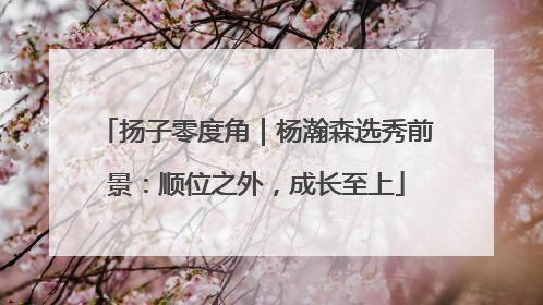 扬子零度角｜杨瀚森选秀前景：顺位之外，成长至上