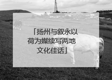 扬州与叙永以荷为媒续写两地文化佳话