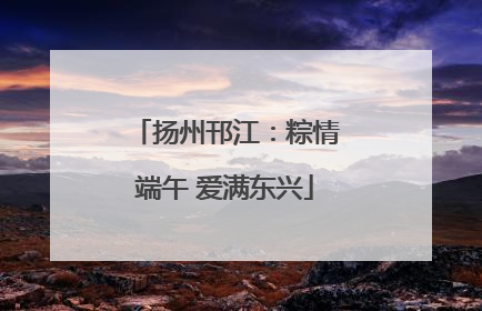 扬州邗江：粽情端午 爱满东兴