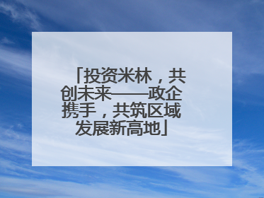 投资米林，共创未来——政企携手，共筑区域发展新高地
