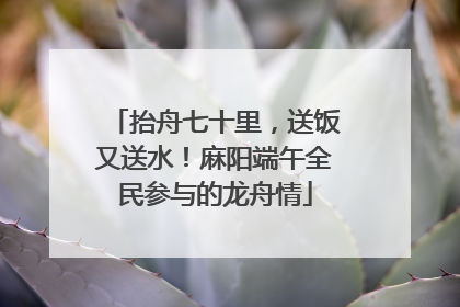 抬舟七十里，送饭又送水！麻阳端午全民参与的龙舟情