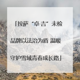 拉萨“卓·吉”未检品牌以法治为盾 温暖守护雪域青春成长路