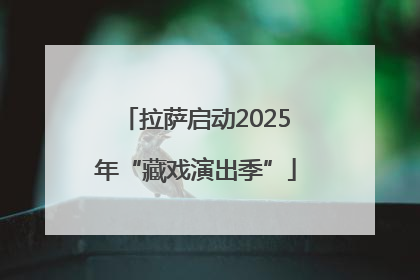 拉萨启动2025年“藏戏演出季”