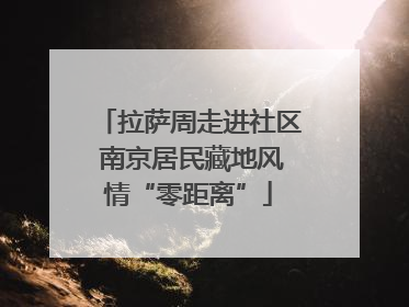 拉萨周走进社区 南京居民藏地风情“零距离”