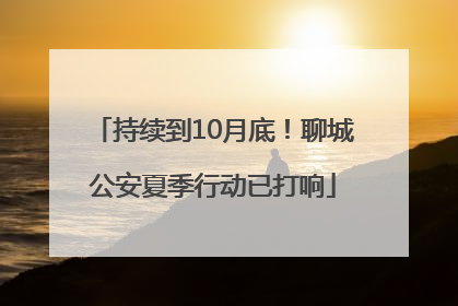 持续到10月底！聊城公安夏季行动已打响