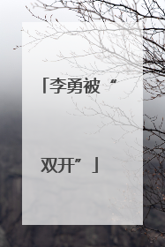 李勇被“双开”