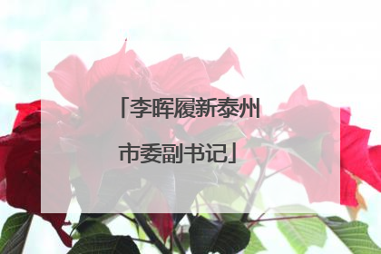 李晖履新泰州市委副书记