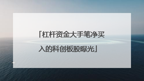 杠杆资金大手笔净买入的科创板股曝光