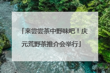 来尝尝茶中野味吧！庆元荒野茶推介会举行