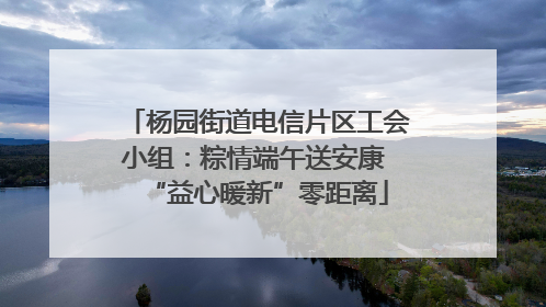 杨园街道电信片区工会小组：粽情端午送安康 “益心暖新”零距离